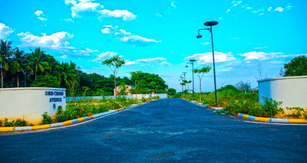 Elephantine Tales Gallery 3