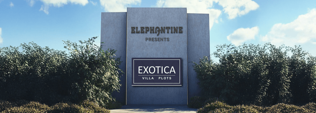 Elephantine Exotica