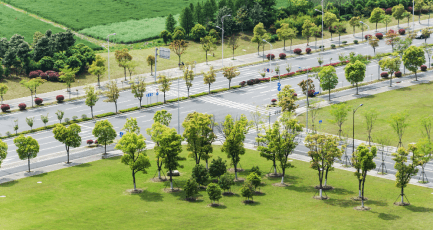 Elephantine Tales Gallery 1