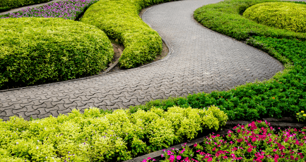 Elephantine Tales Gallery 3