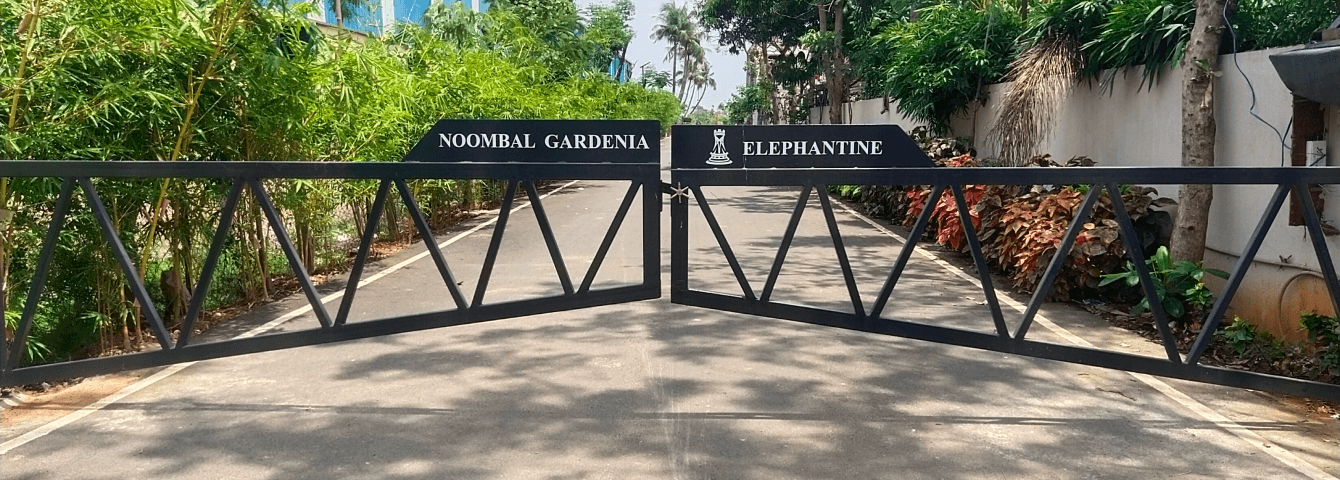 Elephantine Noombal Gardenia