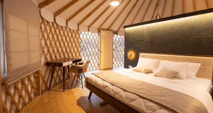 Elephantine Tales Gallery 5