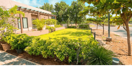 Elephantine Tales Gallery 6