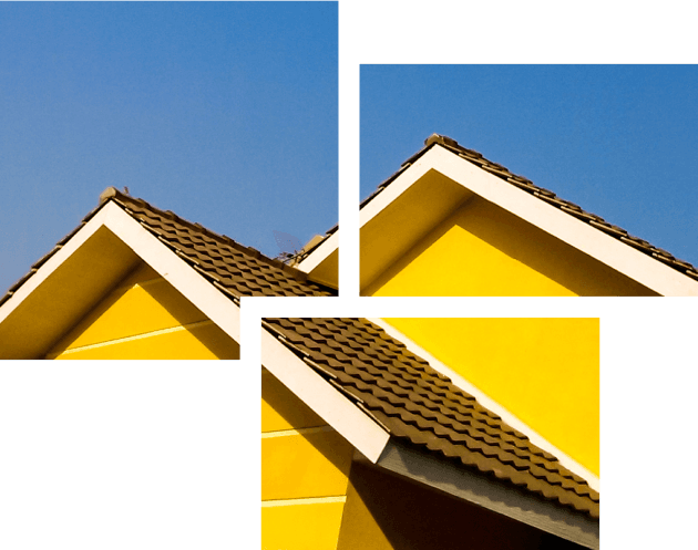 Expertise That Drives Results