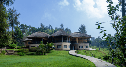 Elephantine Tales Gallery 3