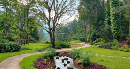 Elephantine Tales Gallery 1