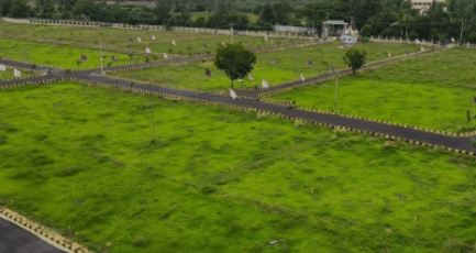 Elephantine Tales Gallery 1