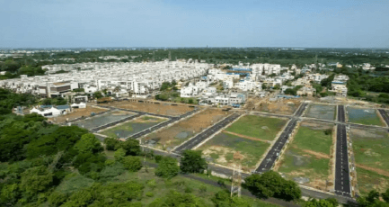 Elephantine Tales Gallery 3